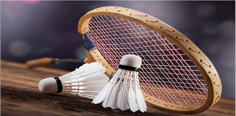 Cá cược cầu lông tại Go Win 